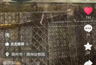 辽宁动物园白眉长臂猿猴高考期间不对外展出