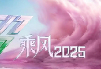 《乘风2025》成团名单出炉！叶童获年度总冠军