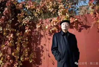 云中之鹤章立凡 革命时代的另类少年