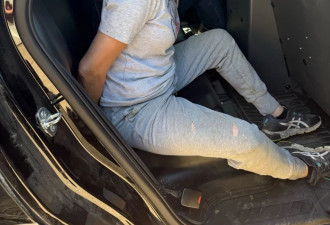 华裔大叔大妈偷樱桃被捕 这次丢人丢大发了