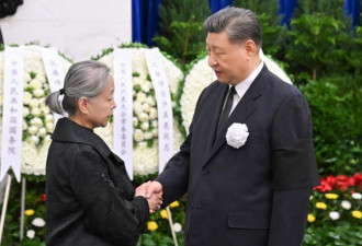 中共评许其亮：始终与党中央高度一致