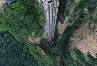 40亿浙商大佬，抄底海洋公园
