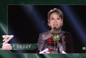 叶童凌晨发文回应《乘风2025》夺冠