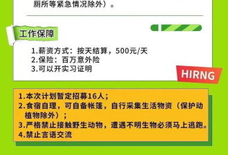 中国景区招“野人” 要求接受游客投喂
