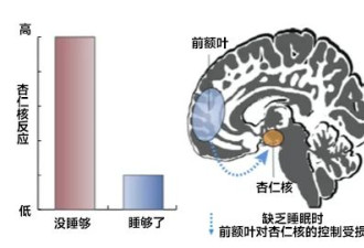 科学证明：早起毁一天，是真的