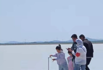 内蒙"牛奶湖"游客排队接奶？当地文旅局：可放心喝