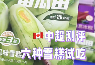 多伦多中超试吃测评，六款超热销雪糕！