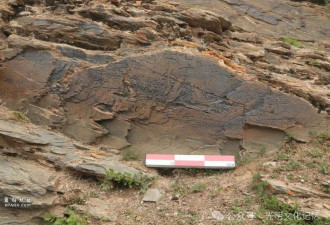 青海发现的秦代石刻被指“造假新高度”?