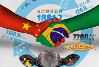 白宫慌了：美国下面这五国，已经离不开中国了