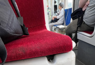 小心！多伦多TTC座位藏针头！网友愤怒：针头朝外，绝对是故意！