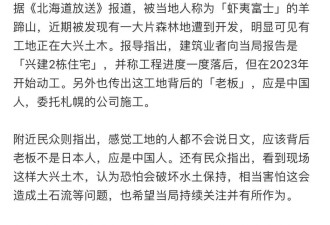异国他乡惹众怒，多家中国公司当地媒体点名了