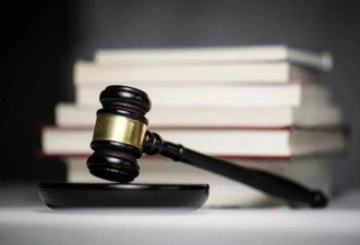 小孩被天降乌龟砸死，饲养人被判赔128万元