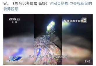 张家界溶洞倒垃圾51吨，村支书暴力威胁曝光者