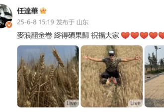 70岁任达华回山东老家收麦子,一点不输年轻人