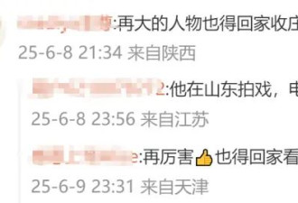 70岁任达华回山东老家收麦子,一点不输年轻人