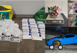 把贩毒干成了快递还“畅销全国”？Canada Post沦为售毒渠道
