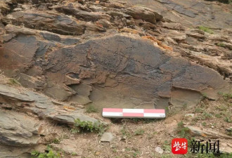 “秦始皇遣使采药昆仑石刻”陷争议，社科院回应了