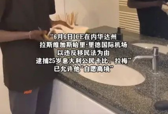 网红顶流“面瘫哥”违反移民法在美国被捕：粉丝量高达1.6亿
