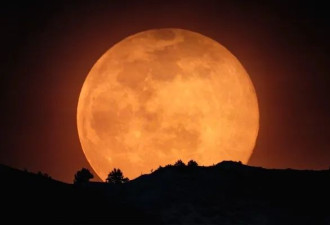 今夜往南看，“草莓月”又圆又亮又低又大，非常不真实！