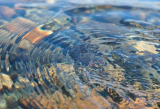 “水煮遗体排入下水道”或将合法化？美加已允许
