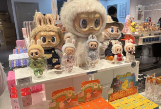 LABUBU的接棒者:有人囤50余个玩偶或净赚两万....