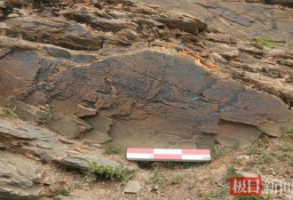 疑似“采药昆仑”石刻5年前已发现 专家回应
