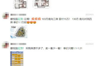 1.1万元/㎡！广州这个楼盘为何卖出“县城价”？