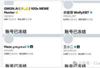 “色图”惹怒马斯克，华语大V遭遇团灭