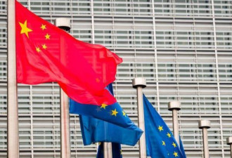 欧盟首次亮出这把刀：欧中紧张关系重大升级