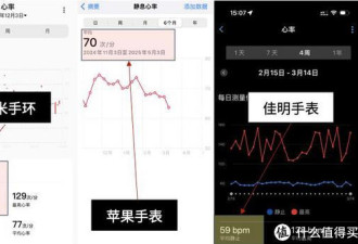 心跳慢更长寿 1分钟跳多少次最健康