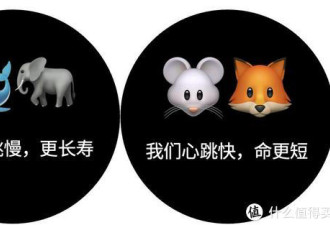 心跳慢更长寿 1分钟跳多少次最健康