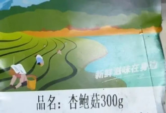 杏鲍菇产地竟标着“东北省吉林市”和“吉林省沈阳市”？
