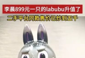 李晨的Labubu突然火了？潮玩为何疯涨？