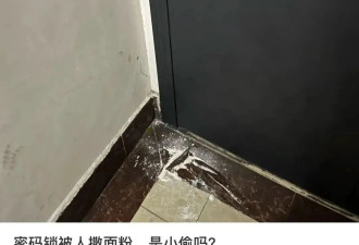 回家开门像演武侠片，最懂享受的一批人都在它身上找到乐子了