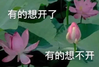 回家开门像演武侠片，最懂享受的一批人都在它身上找到乐子了
