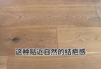万元沙发酸臭熏人 小伙花500万装修“翻车”反被告