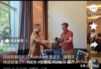 张朝阳后悔了！送回的绝版LABUBU换了一辆车