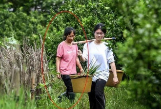 "扁担女孩" 登央视，正脸照首曝光