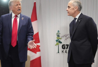 G7努力围绕不可预测的特朗普寻找共同立场