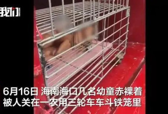 海口警方回应赤裸幼童被关铁笼,当务之急是救孩子