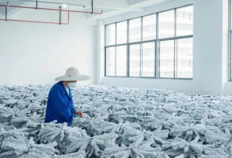 美国订单“复活”后，一家义乌工厂抢工90天