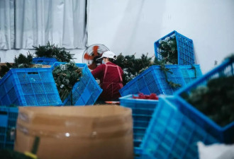 美国订单“复活”后，一家义乌工厂抢工90天