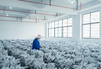 美国订单“复活”后，一家义乌工厂抢工90天