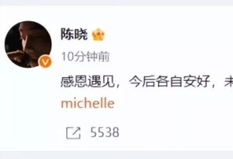 离婚110天后再看陈晓和陈妍希,一个飞升,一个查无此人