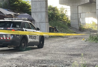 多伦多高速亡命追捕！抢劫宝马劳斯莱斯，一名嫌犯跳下17米高架