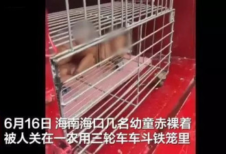 海南街头现幼童裸身被关笼子内，当地：系一家人