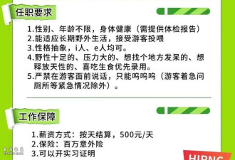 日薪500“野人”高薪岗 景区NPC变香饽饽