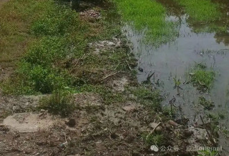 湖南烟花厂9死26伤：高温前赶工和一个山村的生计