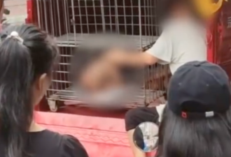 多名幼童被关铁笼?官方:夫妻育6子,妻子智障
