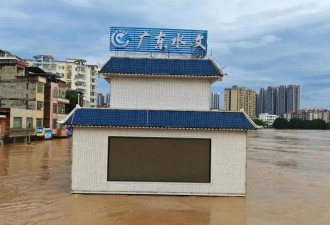 四次洪峰过境！广东怀集遭遇超百年一遇洪水